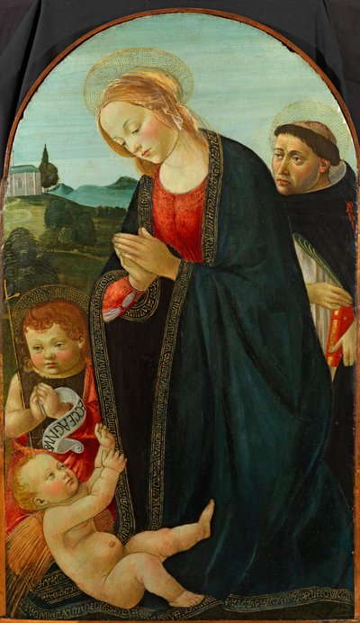 Vergine e Bambino con San Giovanni Battista e San Pietro Martire da Master of the Fiesole Epiphany